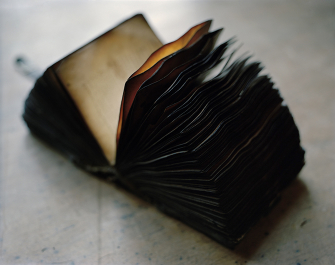 L'ITALIA E GLI ITALIANI